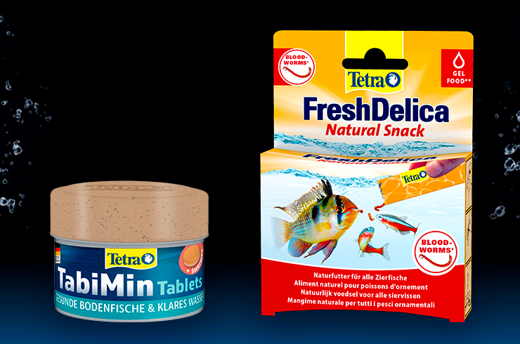 Корма Tetra, которые подойдет для кормления улиток хелен