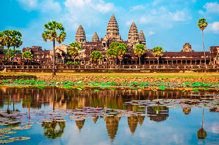В прудах возле храма Ангкор-Ват можно встретить микрорасбору светлячок