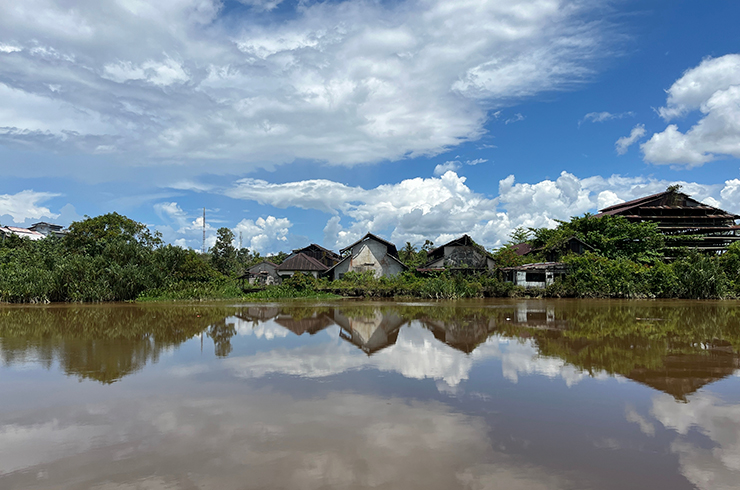 Река Самбас в Индонезии – одно из мест, где обитает краснохвостый тетраодон