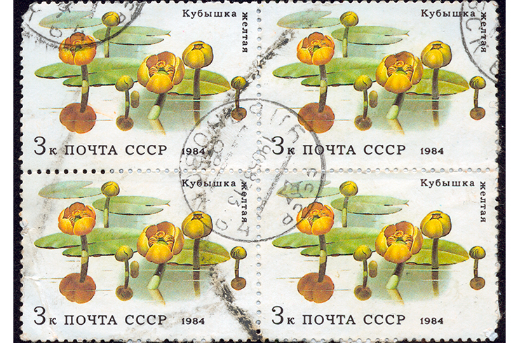 Марки с изображением кубышки желтой. СССР, 1984 г.