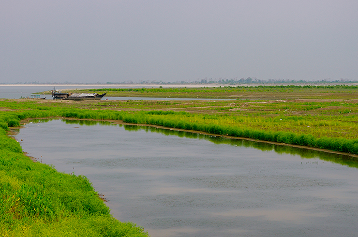 Медленные воды реки Брахмапутра с зарослями растений по берегам