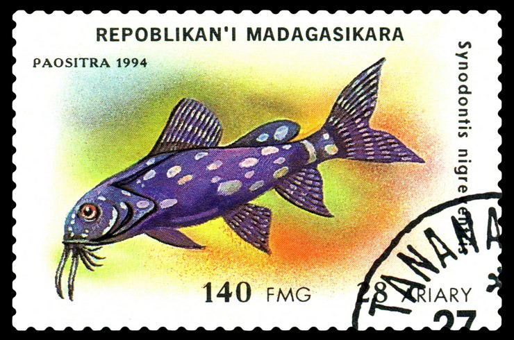 Synodontis balığının resmedildiği bir posta pulu - Madagaskar Cumhuriyeti, 1994