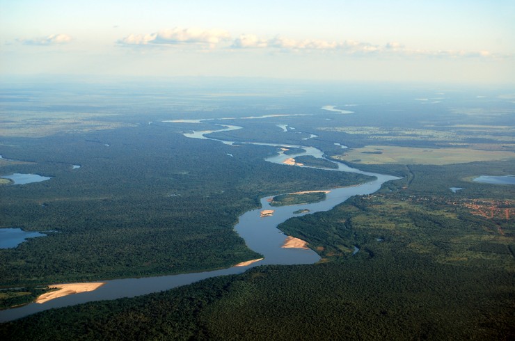 Araguaya Nehri Vadisi, Ember Tetranın tipik yaşam alanıdır