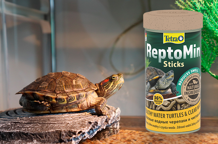 Корм Tetra ReptoMin Sticks — повнораціонний корм для дорослих червоновухих черепах 